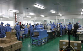 精华霜系列化妆品加工 一站式服务解析与选择指南